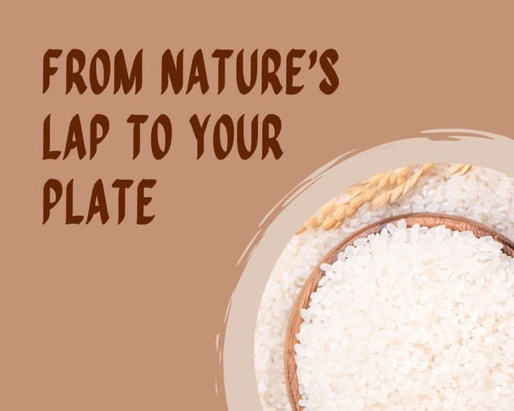 From nature's lap to your plate
