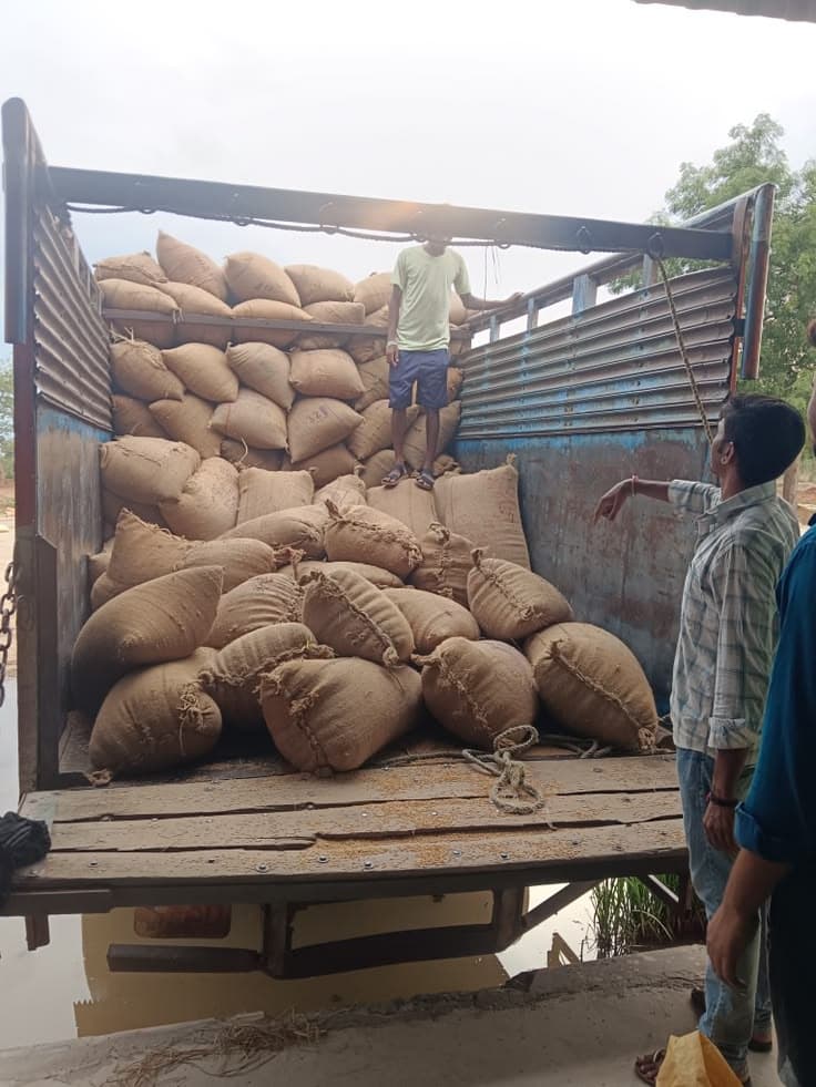 Paddy from farmers